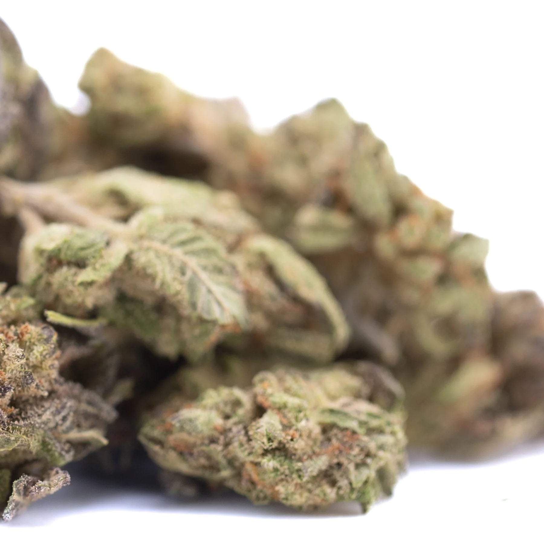 A pile of jokerz nos thca hemp flower greenhouse smalls with green and brown hues covered in fine trichomes