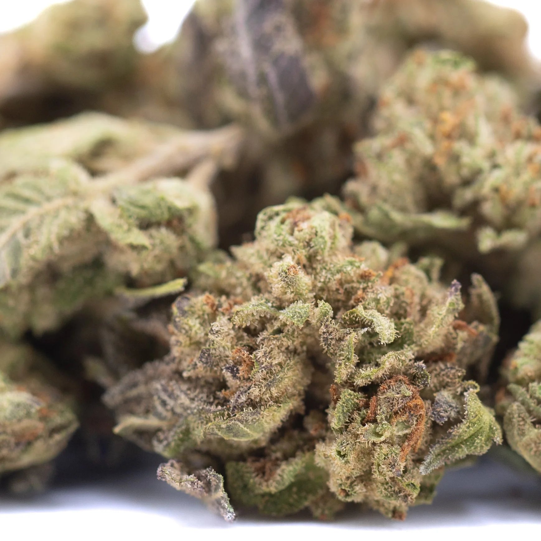 Green and orange-hued jokerz nos thca hemp flower with dense frosty texture similar to white runtz and jet fuel gelato