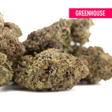 Greenhouse jokerz nos thca hemp flower with dense green and brown buds featuring jet fuel gelato and white runtz genetics