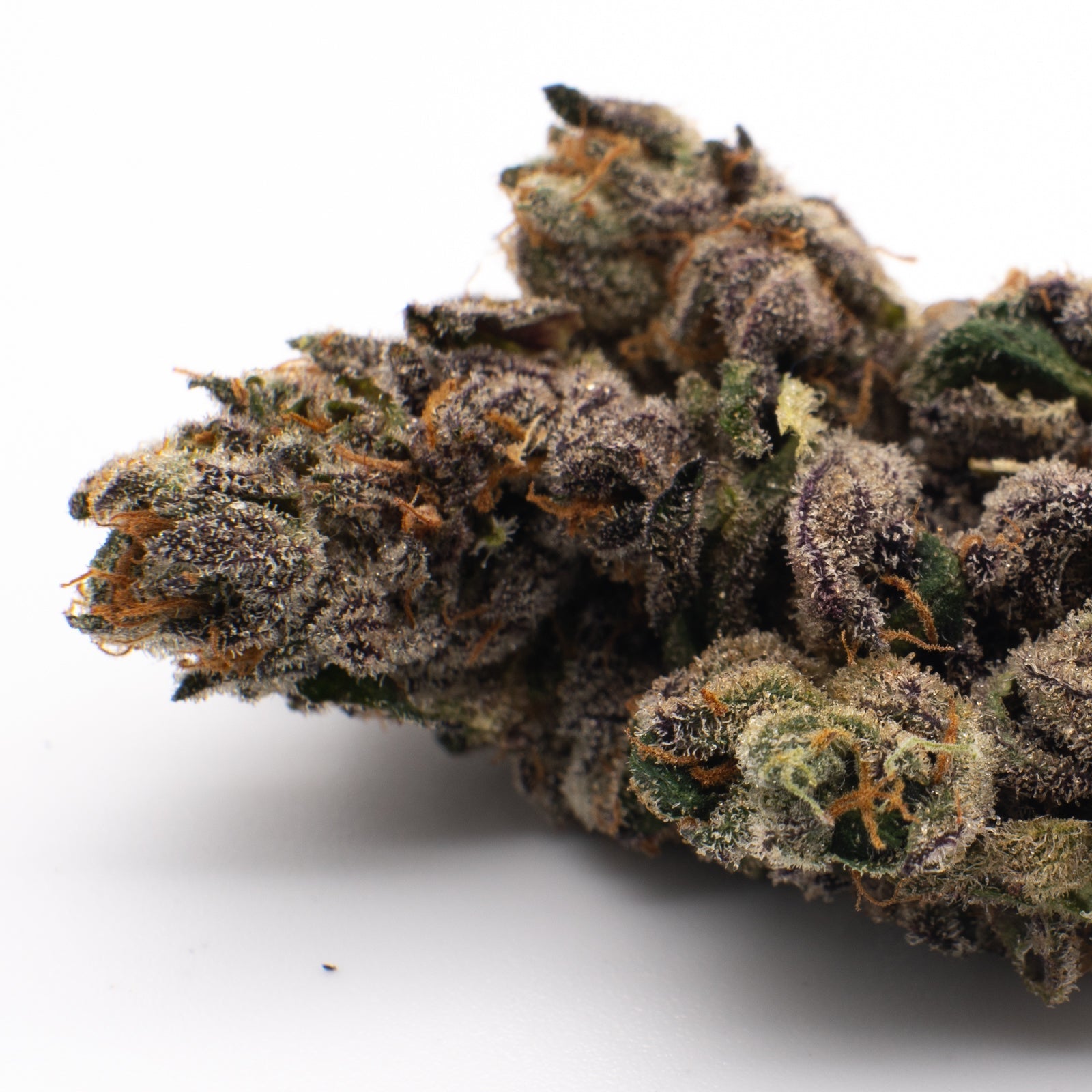 JokerZ THCa Flower Wholesale - 1/2lb - Plants