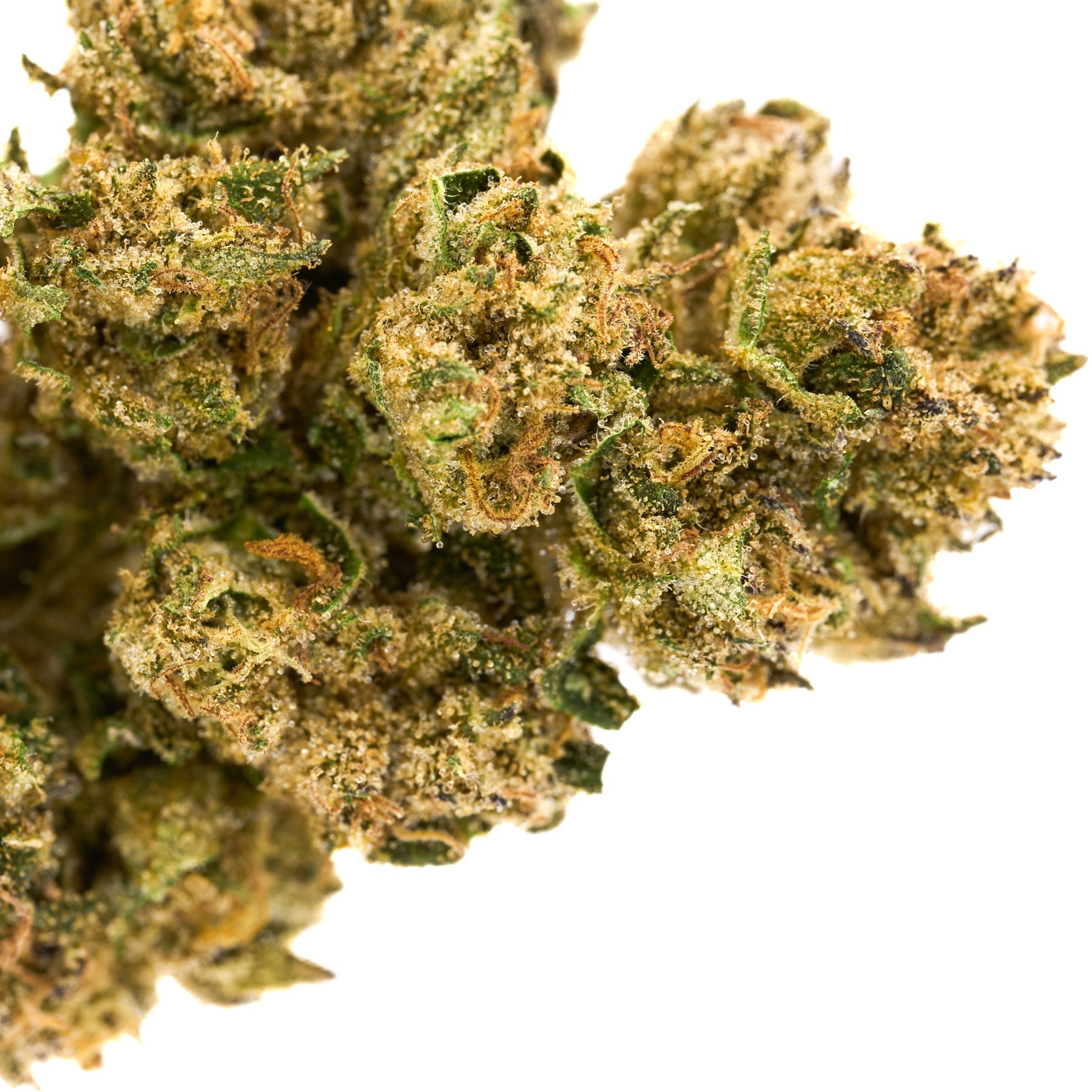 Jokerz THCa Hemp Flower - Plants