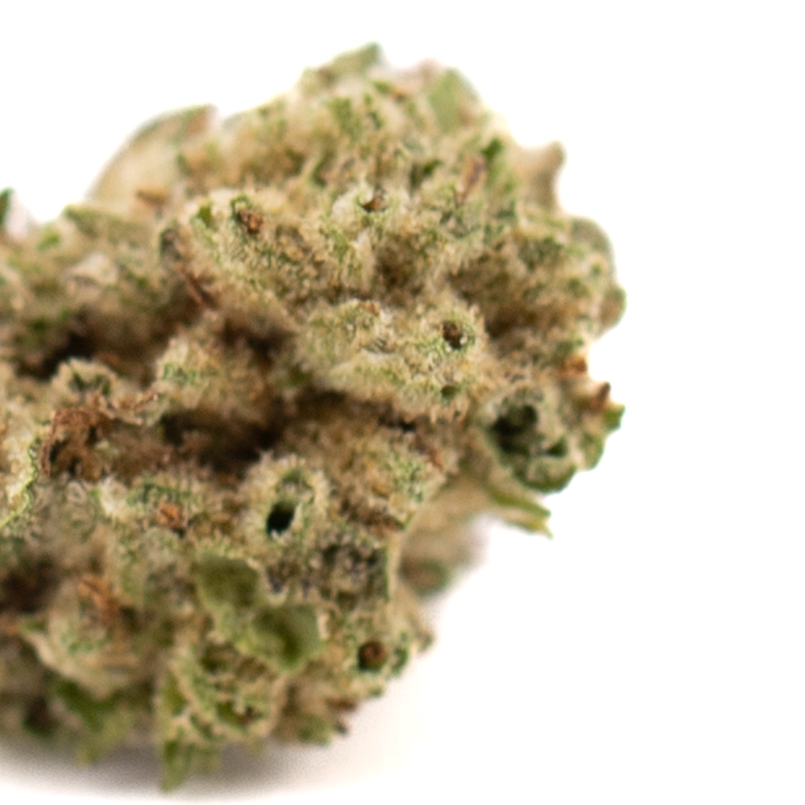 Close-up of Jokerz THCA Hemp Flower with trichomes and orange hairs showing delta9-thc