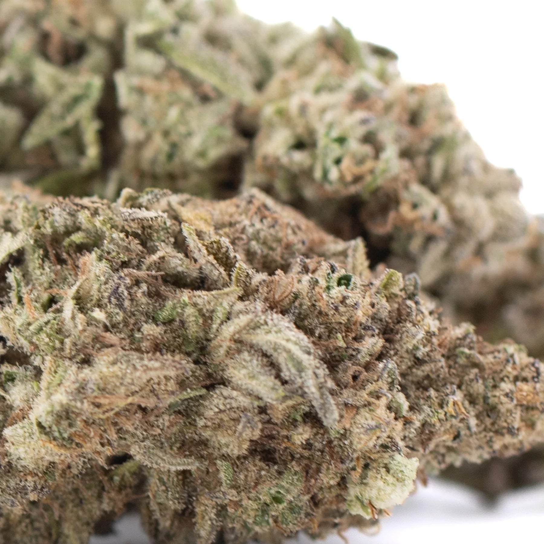 Joy thca hemp flower dense green and brown thca flower resinous bud from lemon kush family for daytime functional use