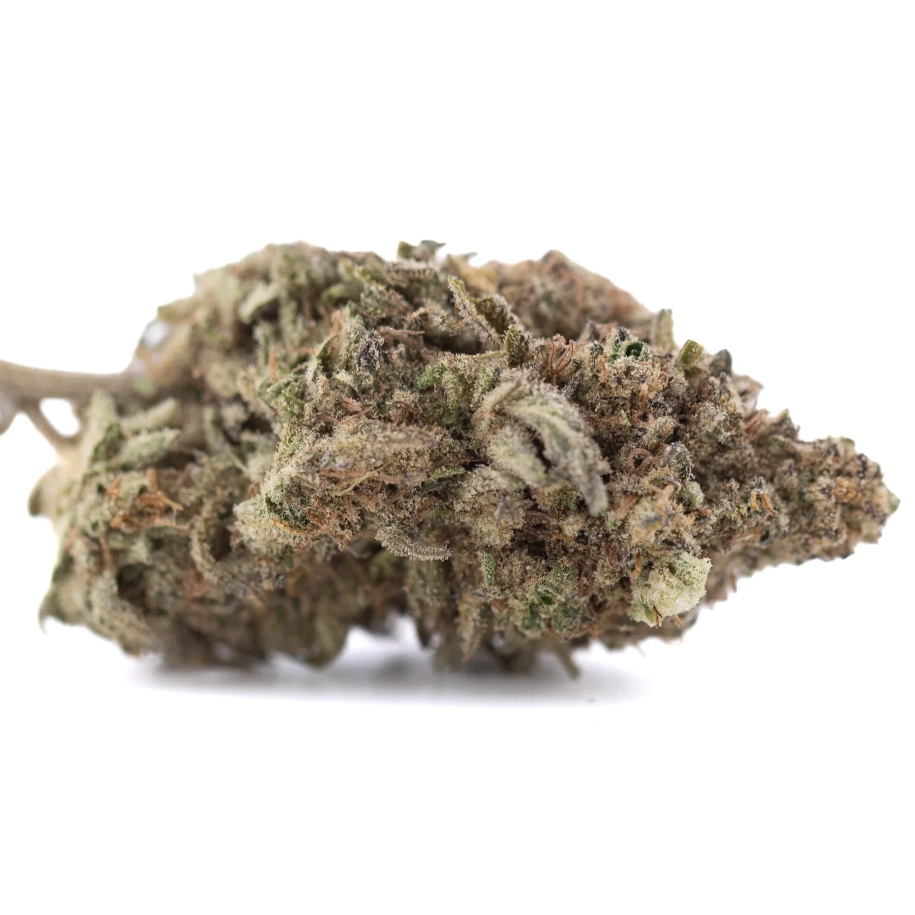 Dense textured thca flower from joy greenhouse wholesale with green brown hues perfect for daytime functional use
