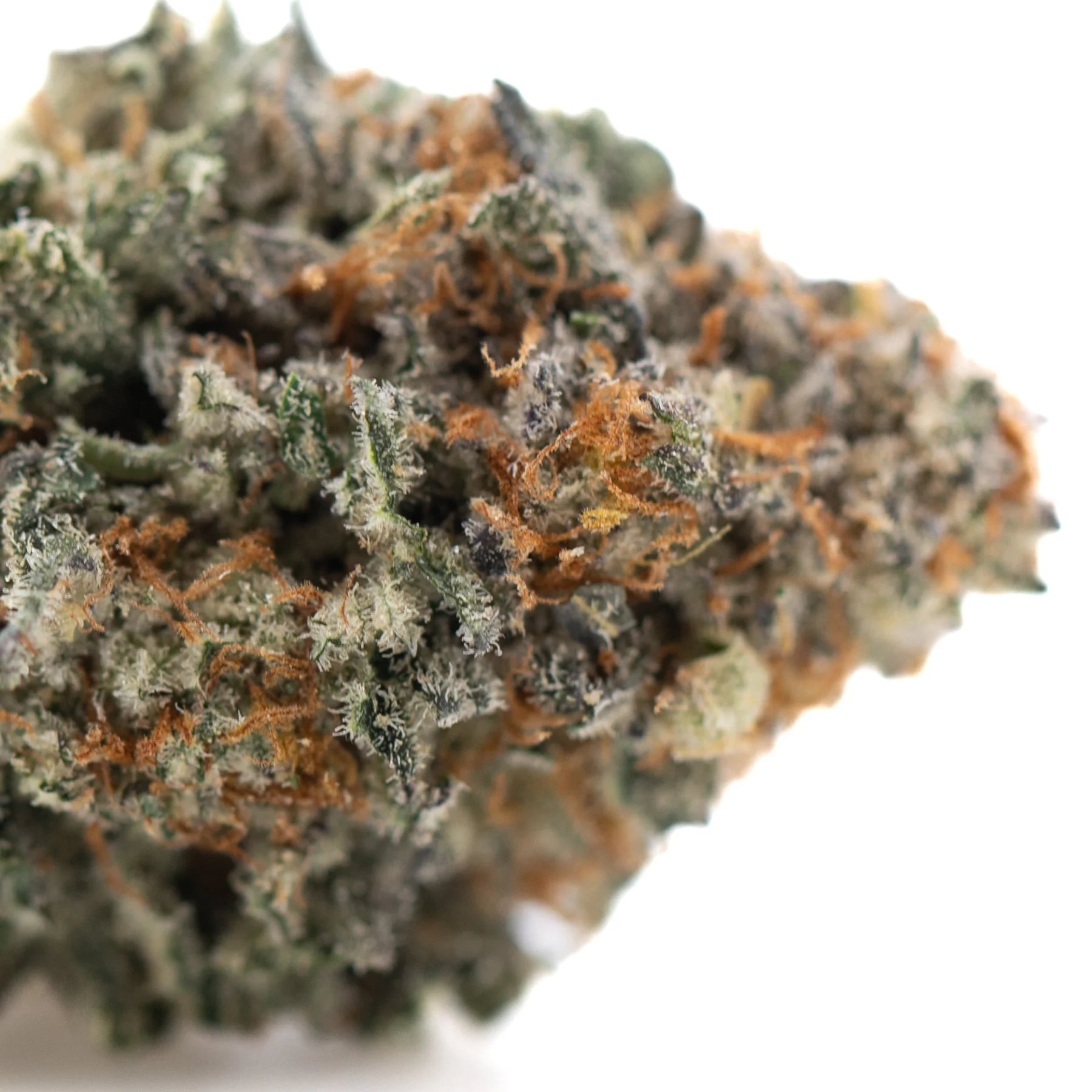 A dense frosty kali snapple indoor thca flower bud with green and orange hues and tropical pineapple aroma