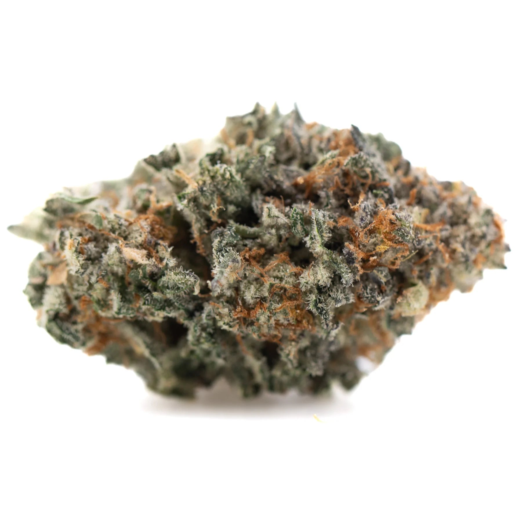 A dense kali snapple indoor thca flower bud with green orange hues and white trichomes and tropical pineapple scent