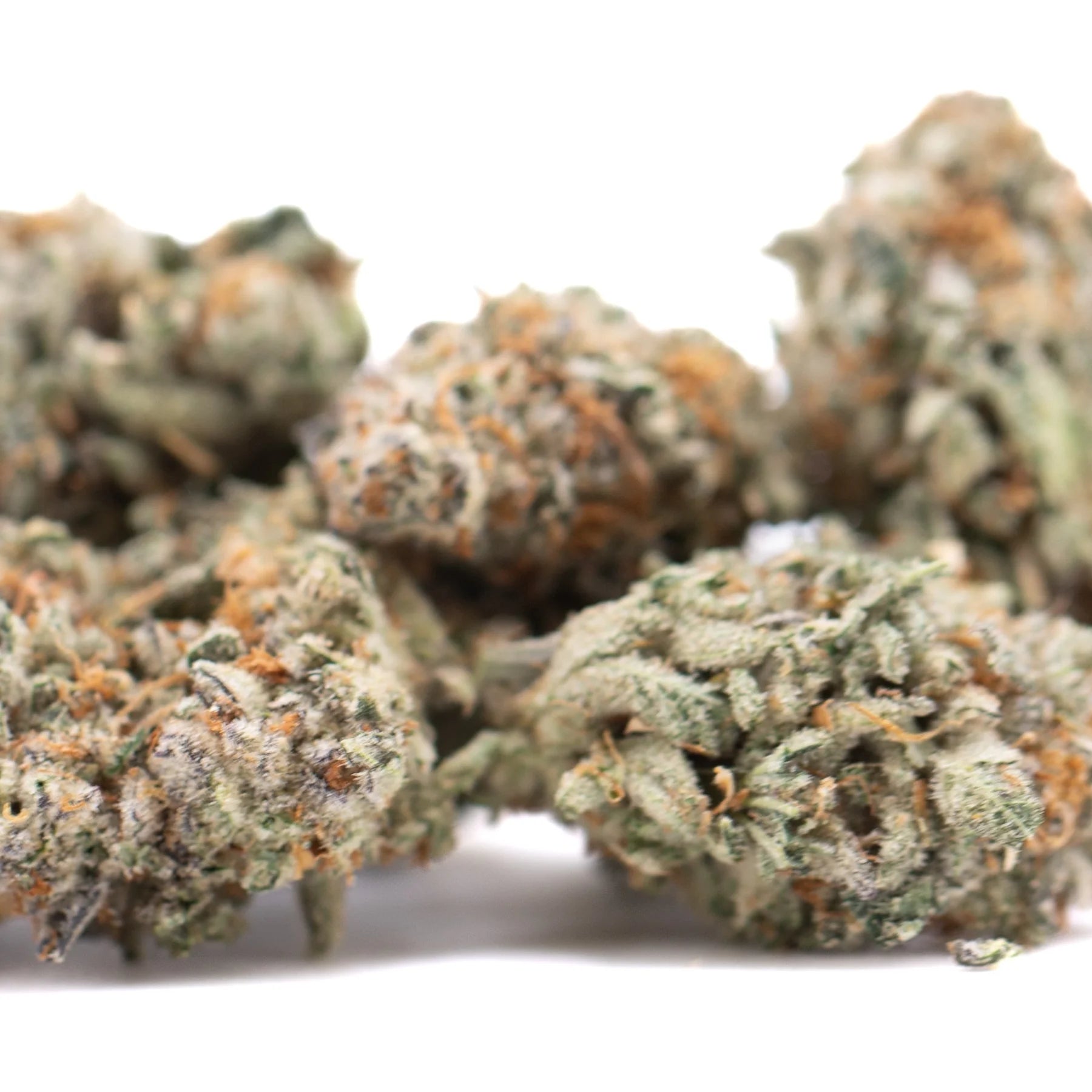 Green and orange-hued kali snapple indoor thca flower buds with a frosty textured surface and tropical pineapple scent