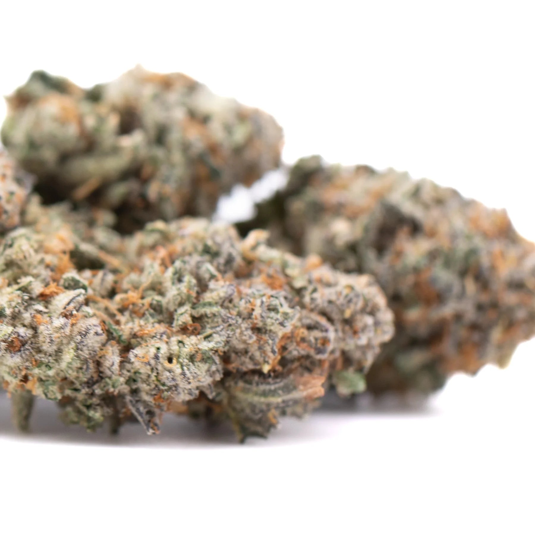 Lush dense kali snapple indoor thca flower buds with green and orange hues and tropical pineapple aroma covered in trichomes