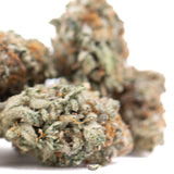 Mature kali snapple indoor thca flower with dense frosty buds and orange pistils on green leaves, tropical pineapple scent