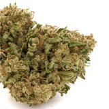 Kush Mints THCa Hemp Flower - Plants
