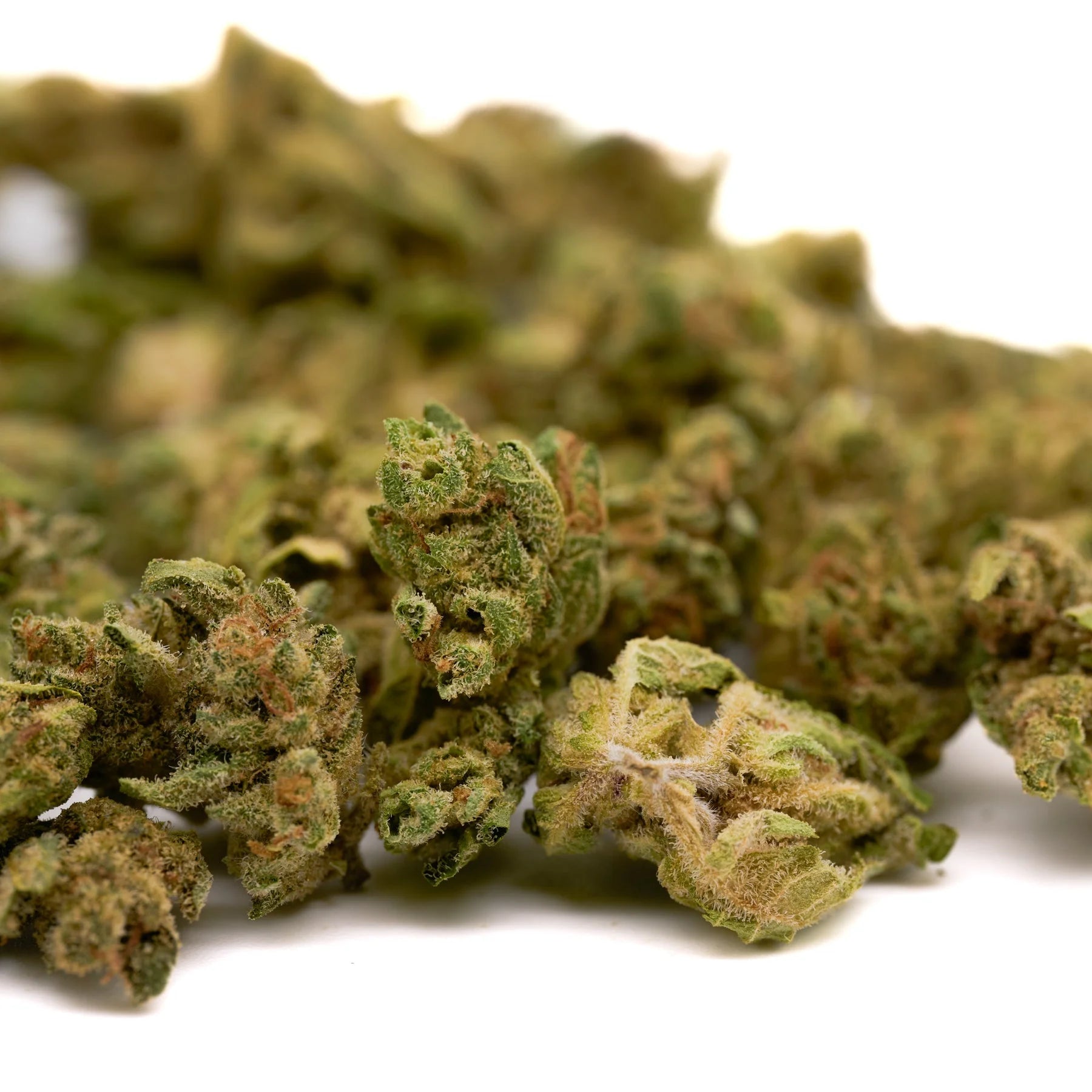 Kush Mints THCa Hemp Flower Smalls - Plants