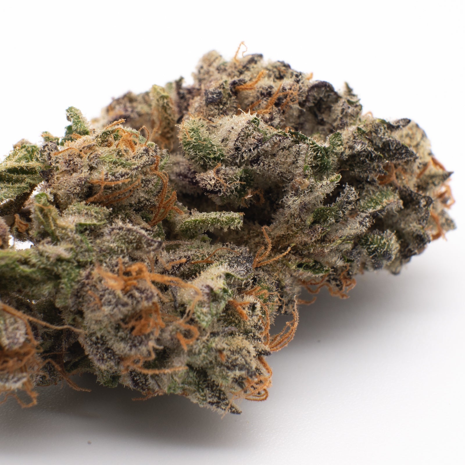 Lava Cake THCa Flower Wholesale - 1/2lb - Plants