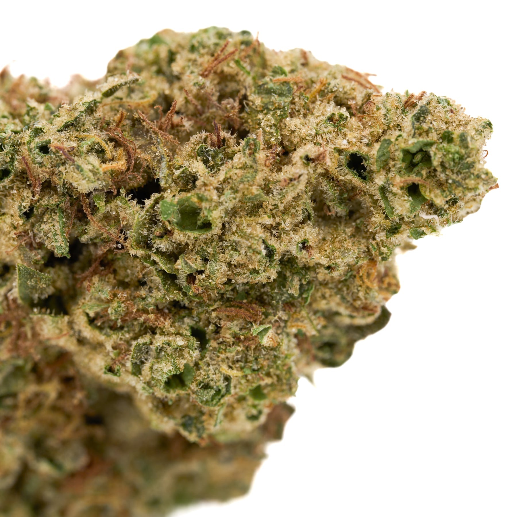 Dense cannabis flower from Lava Cake THCa Hemp Flower Greenhouse