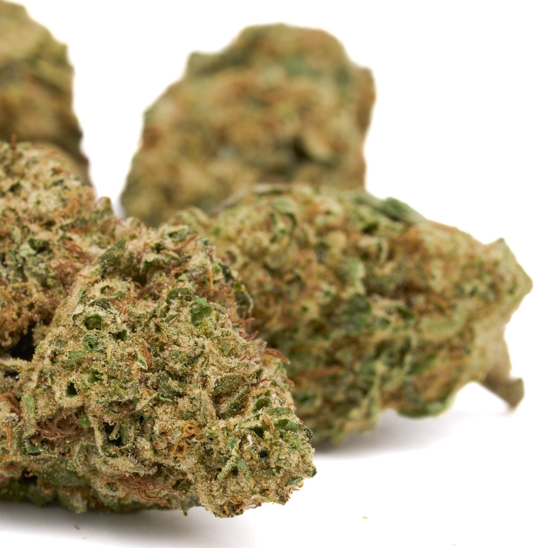 Dried cannabis buds from Lava Cake THCa Hemp Flower Greenhouse for premium quality