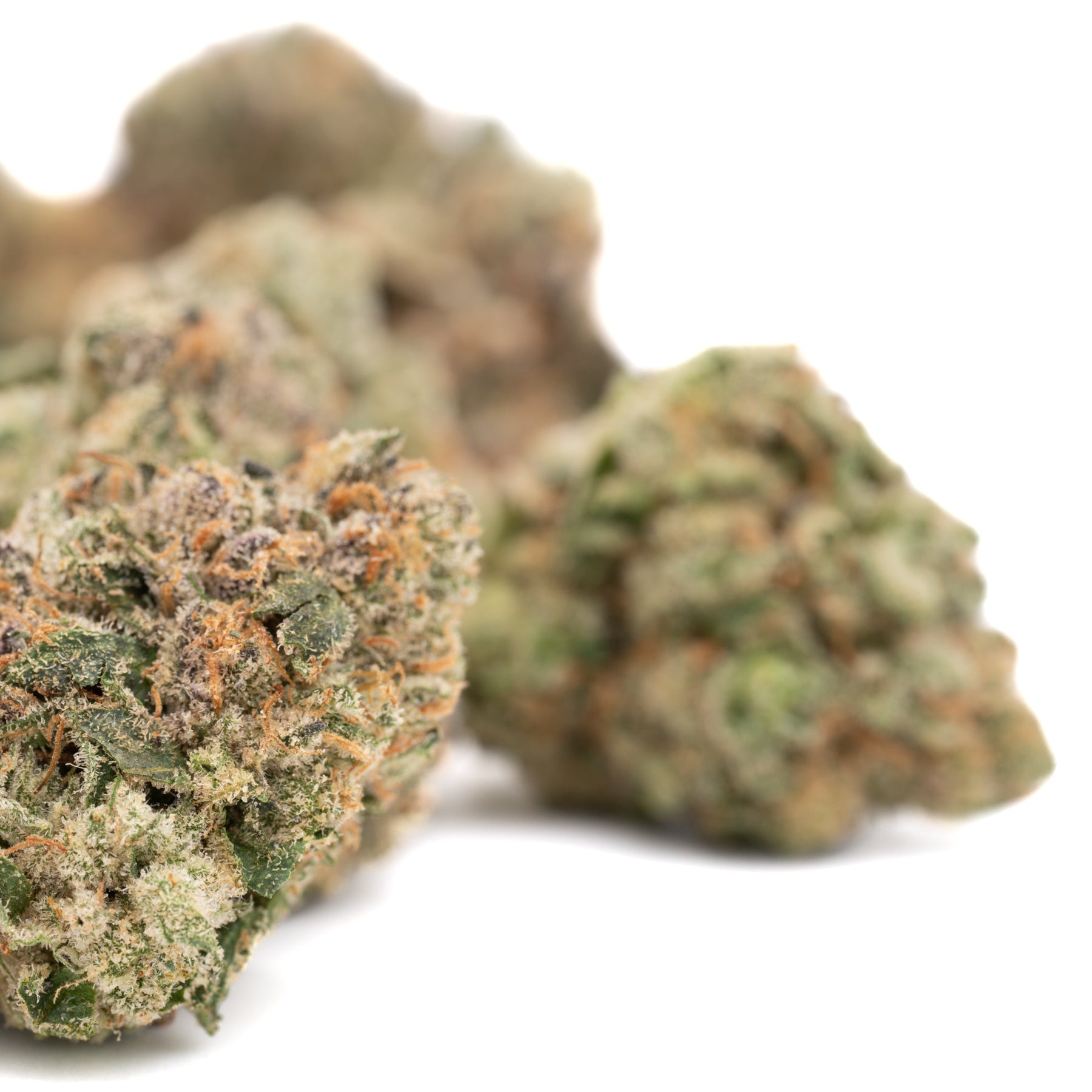 Lemon Cheesecake Indoor THCa Flower - Plants