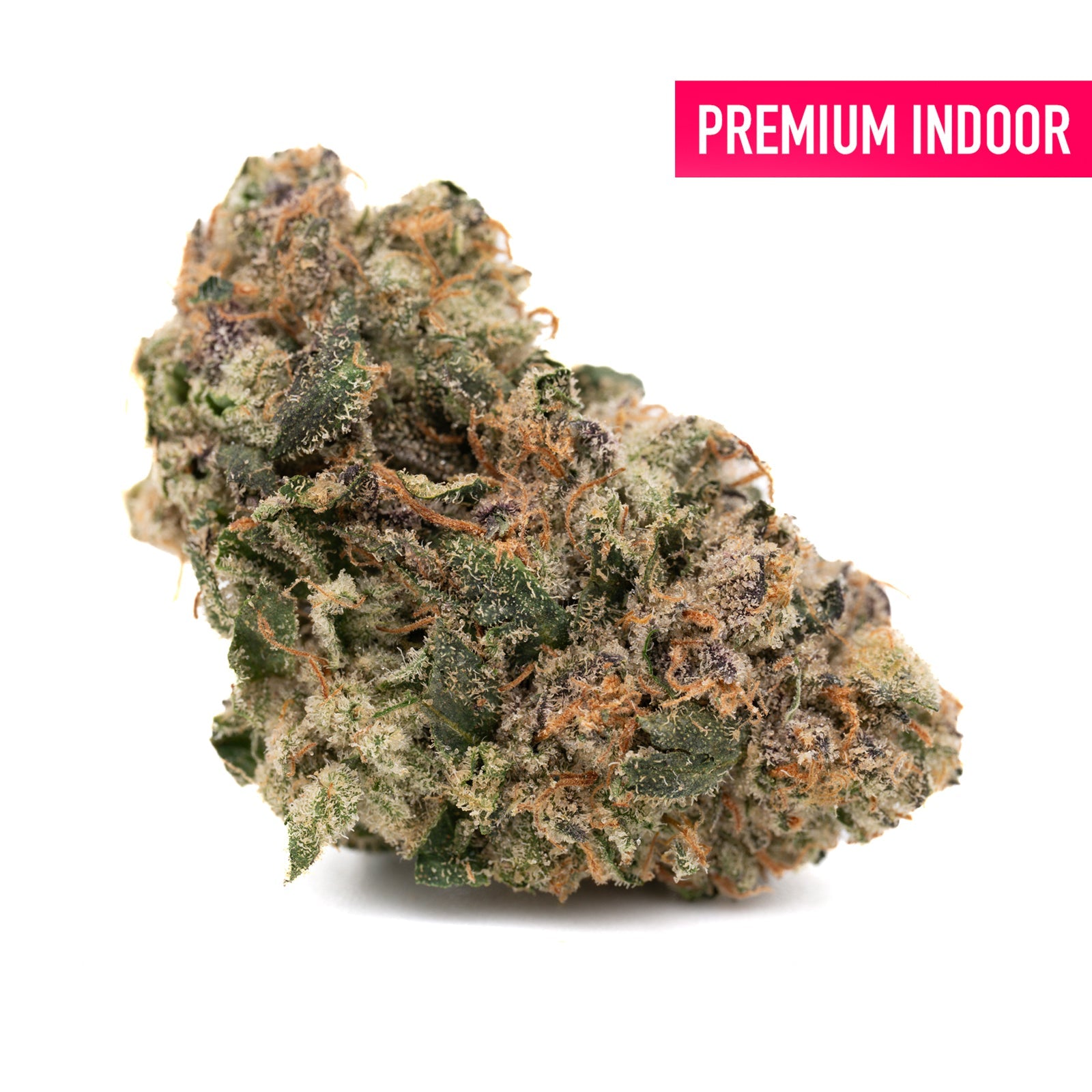 Lemon Cheesecake Indoor THCa Flower - Plants