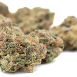 Lemon Cheesecake Indoor THCa Flower - Plants