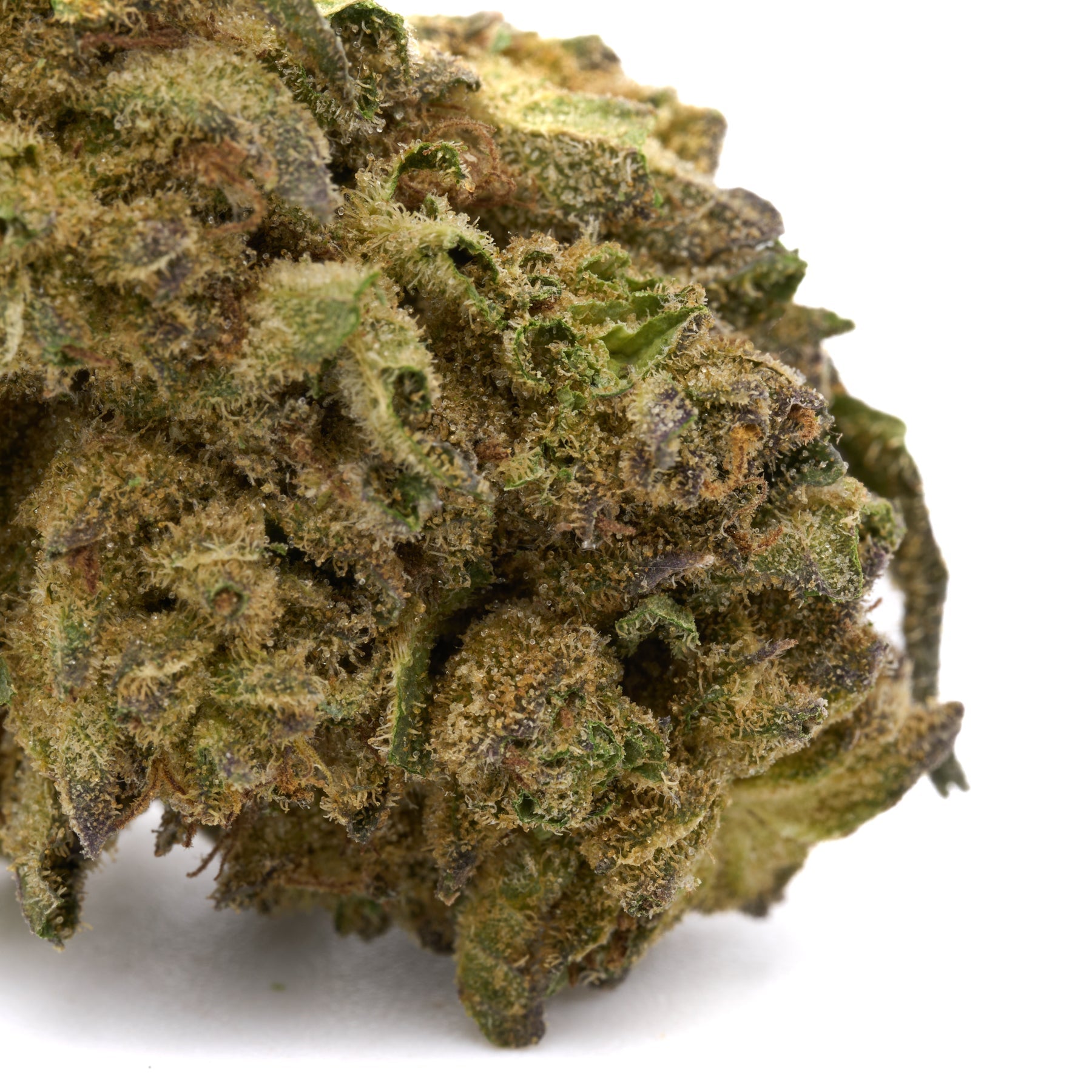 Lemon Cherry Gelato THCa Flower Full-Term hemp flower with dense green purple buds and frosty trichomes