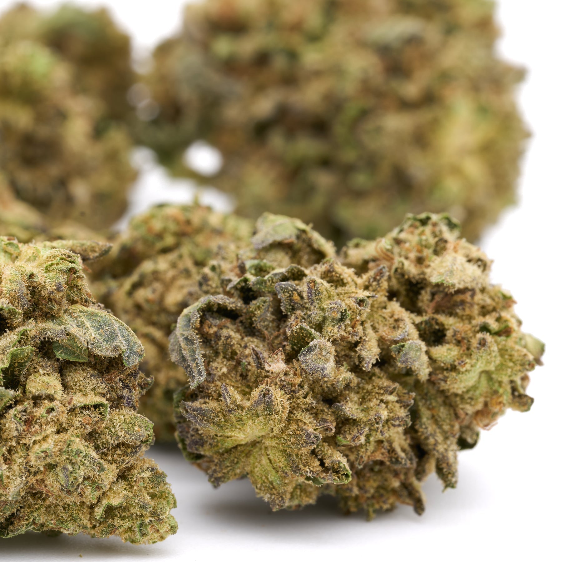 Dried Lemon Cherry Gelato THCa Flower Full-Term hemp flower buds for sale