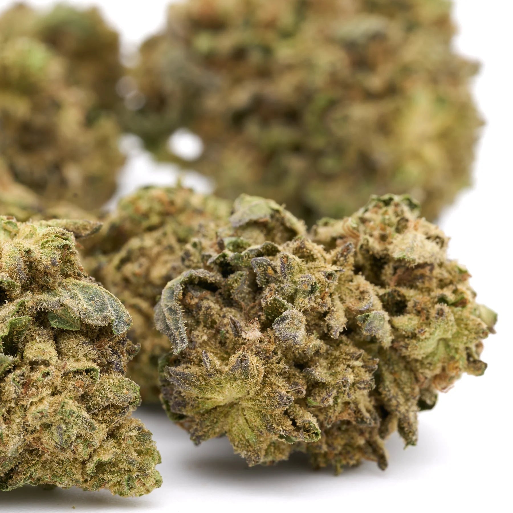 Dried Lemon Cherry Gelato THCa Flower Full-Term hemp flower buds for sale