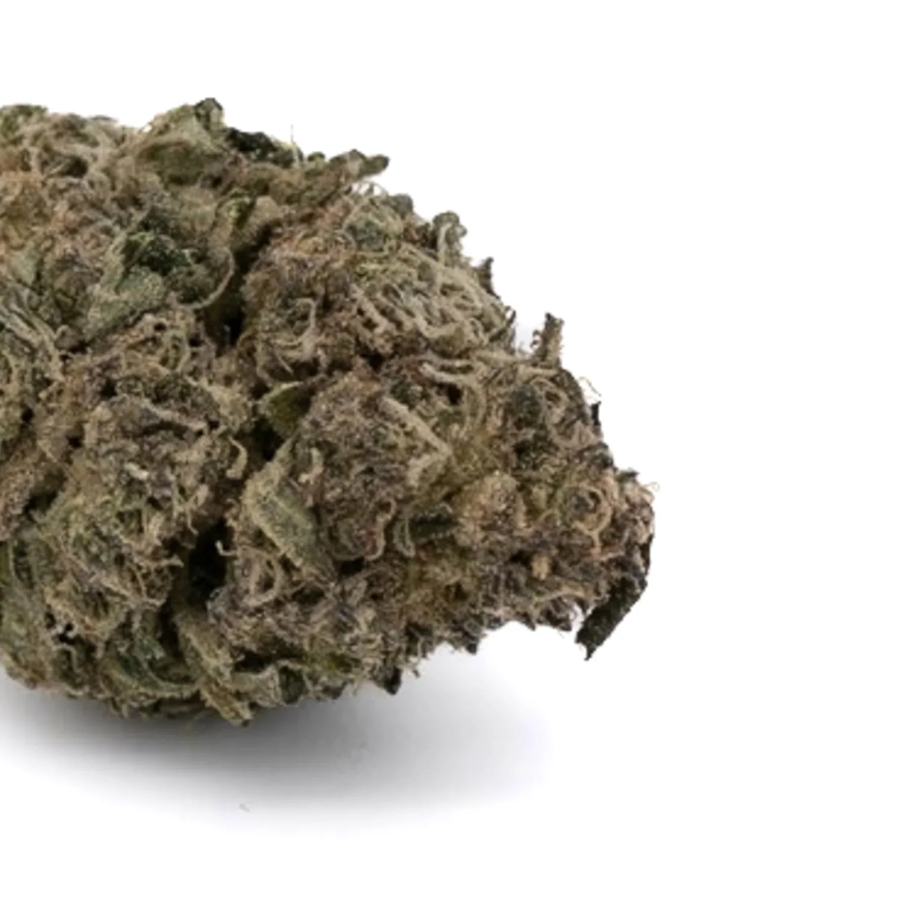 Dense hemp flower Lemon Cherry Gelato bud with trichomes and green purple hues