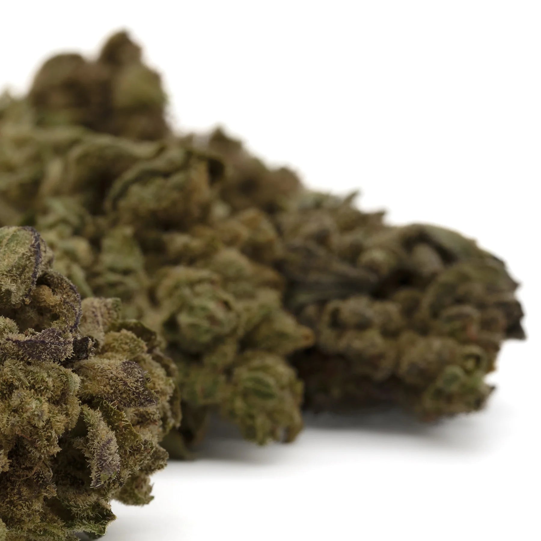 Dried Lemon Cherry Gelato THCa Hemp Flower Buds for Wholesale Sale