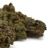 Dried Lemon Cherry Gelato THCa Hemp Flower Buds for Wholesale Sale