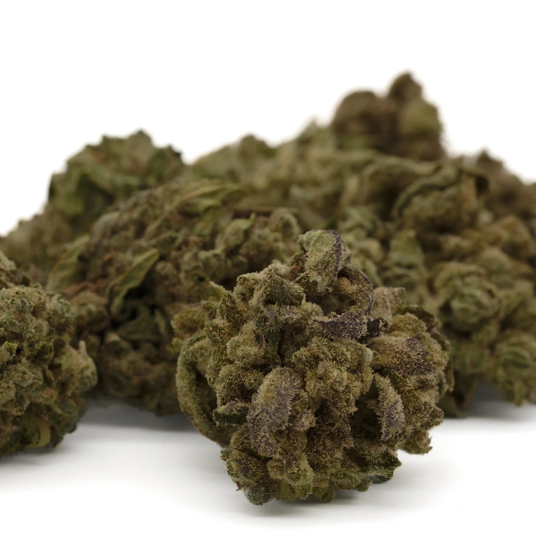 Dried hemp flower Lemon Cherry Gelato with purple hues and trichomes for wholesale