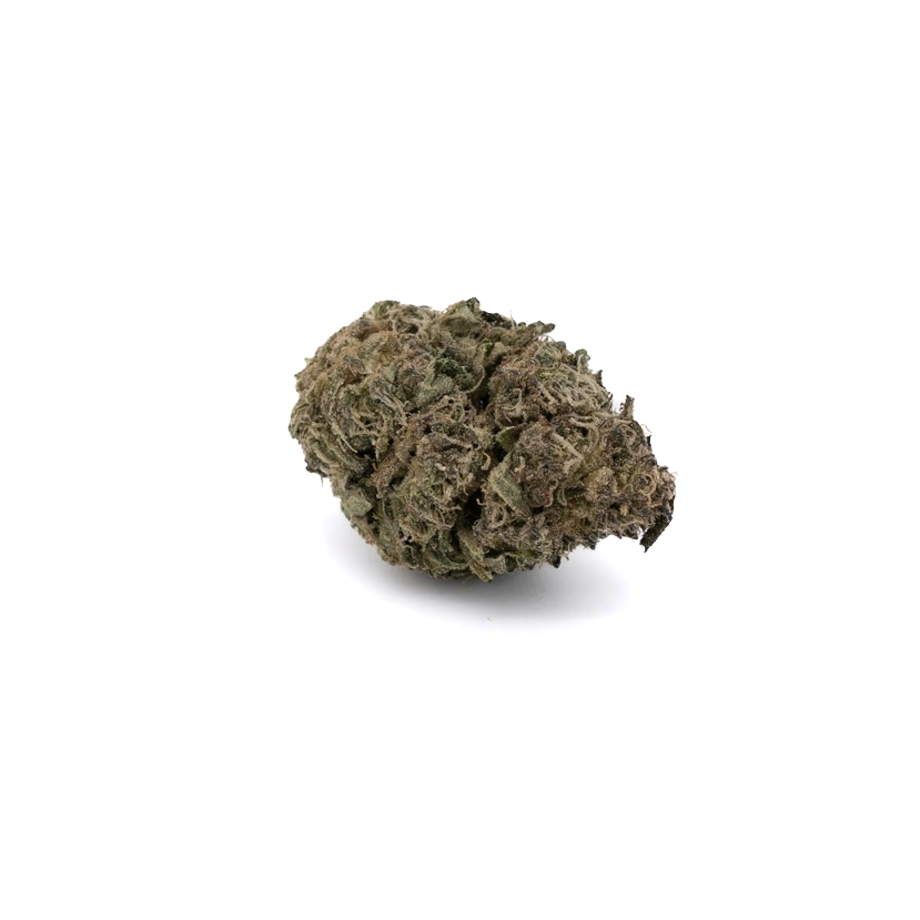 Lemon Cherry Gelato THCa Hemp Flower Greenhouse - Plants