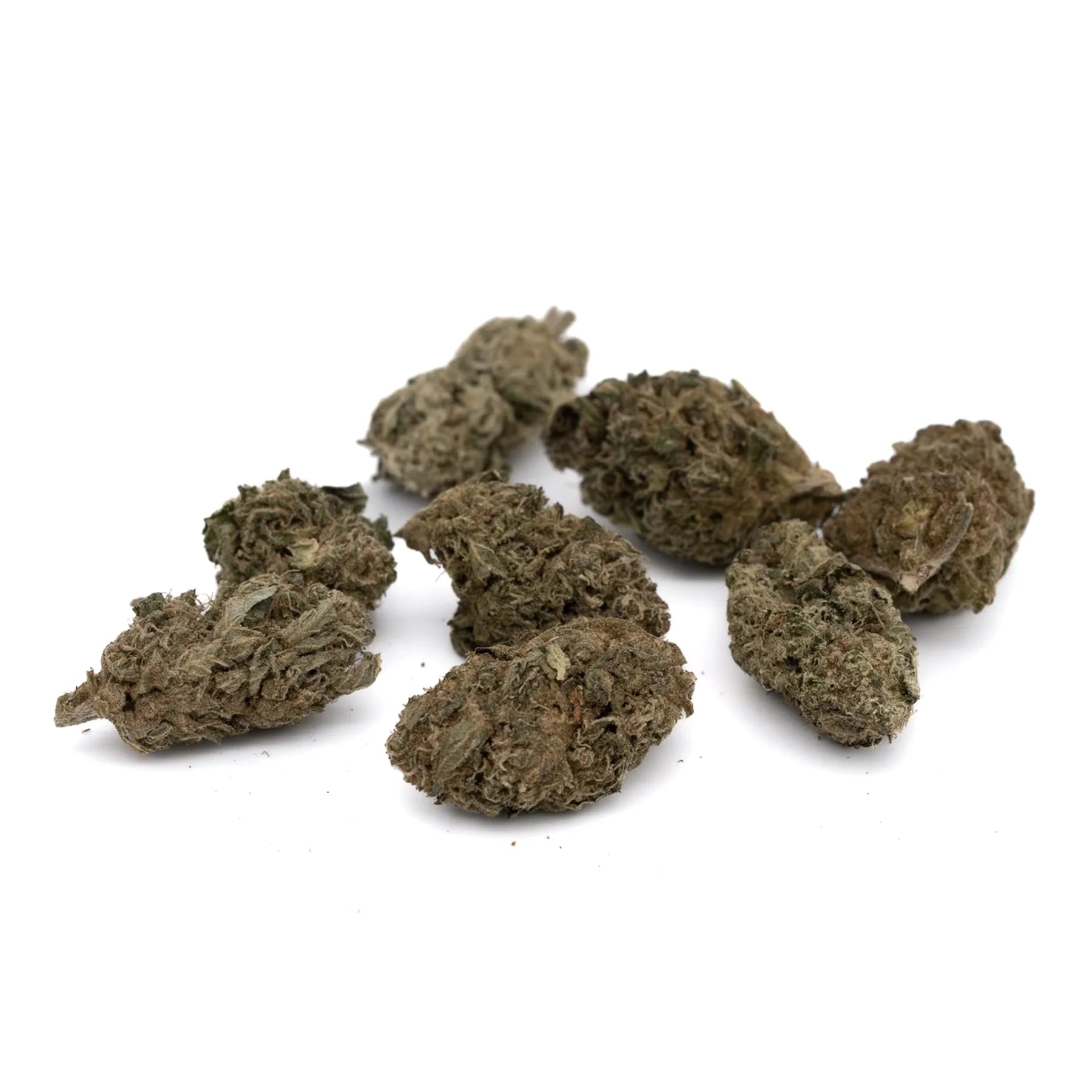 Lemon Cherry Gelato THCa Hemp Flower Greenhouse - Plants
