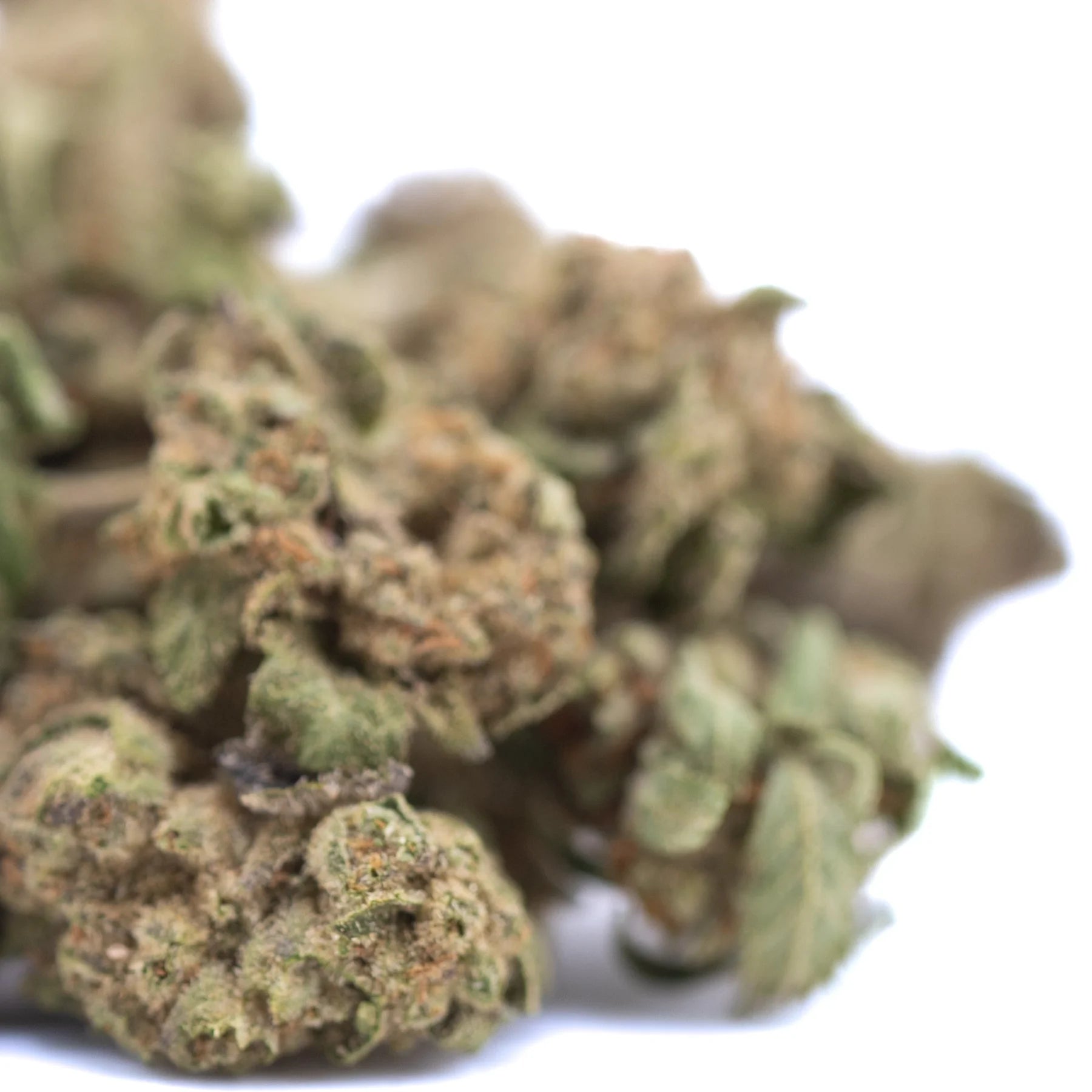 A dense green and brown lemon cherry gelato thca hemp flower bud with visible trichomes and cherry pie notes