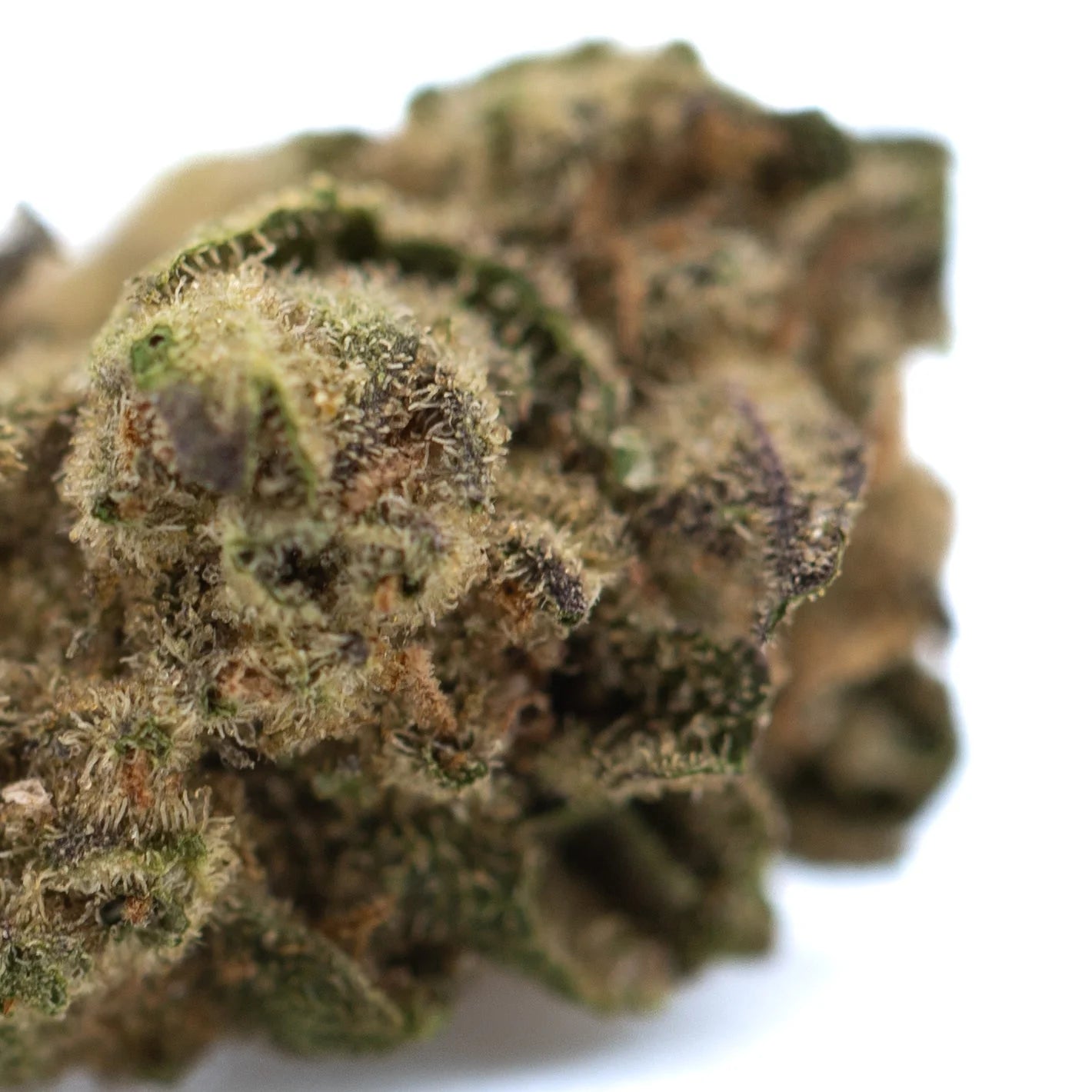 A dense lemon cherry gelato thca hemp flower bud with green and brown hues covered in fine trichomes