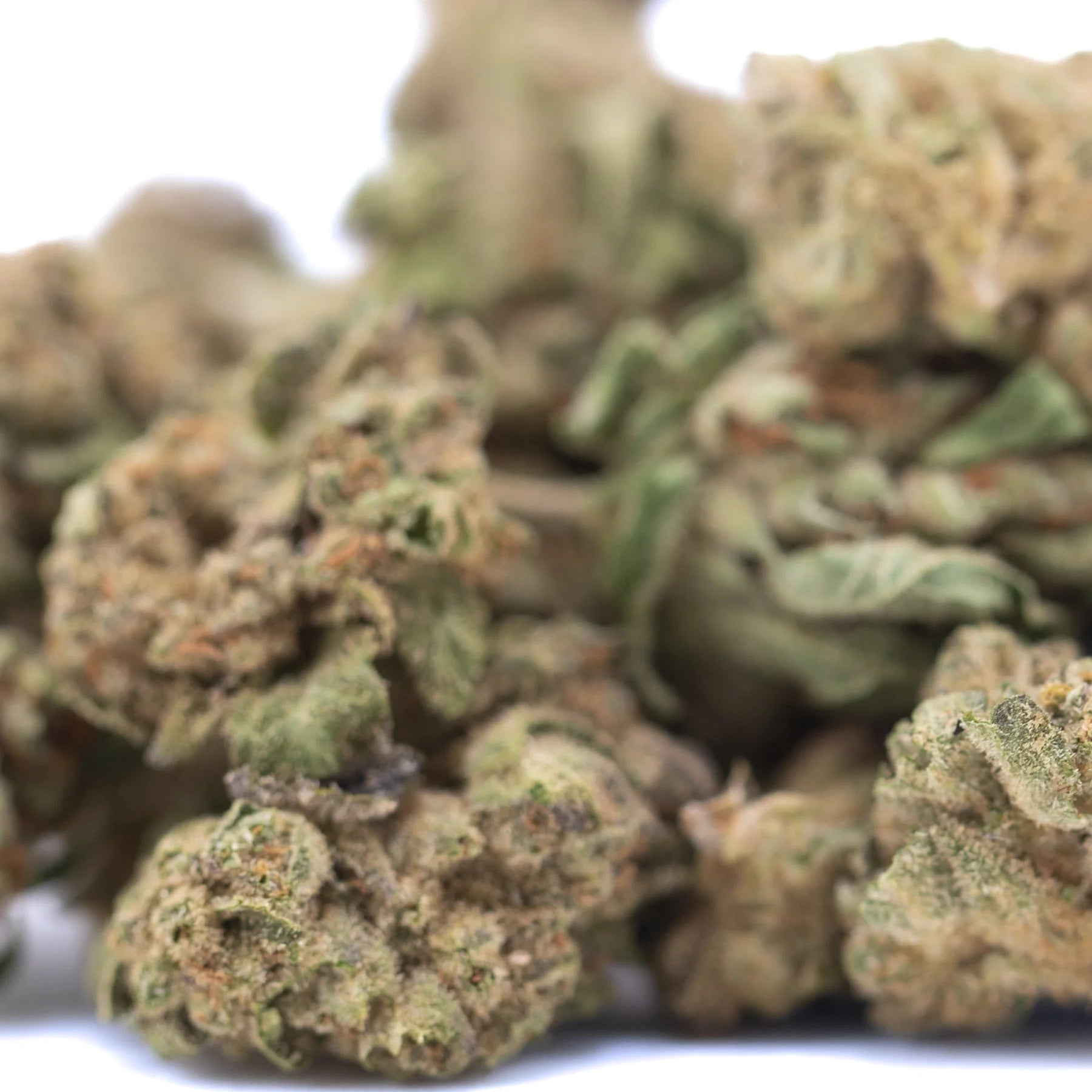A pile of lemon cherry gelato thca hemp flower greenhouse smalls with green and brown hues covered in fine trichomes