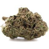 A dense lemon cherry gelato hemp flower bud with green and brown hues and trichomes for triple legendary quality