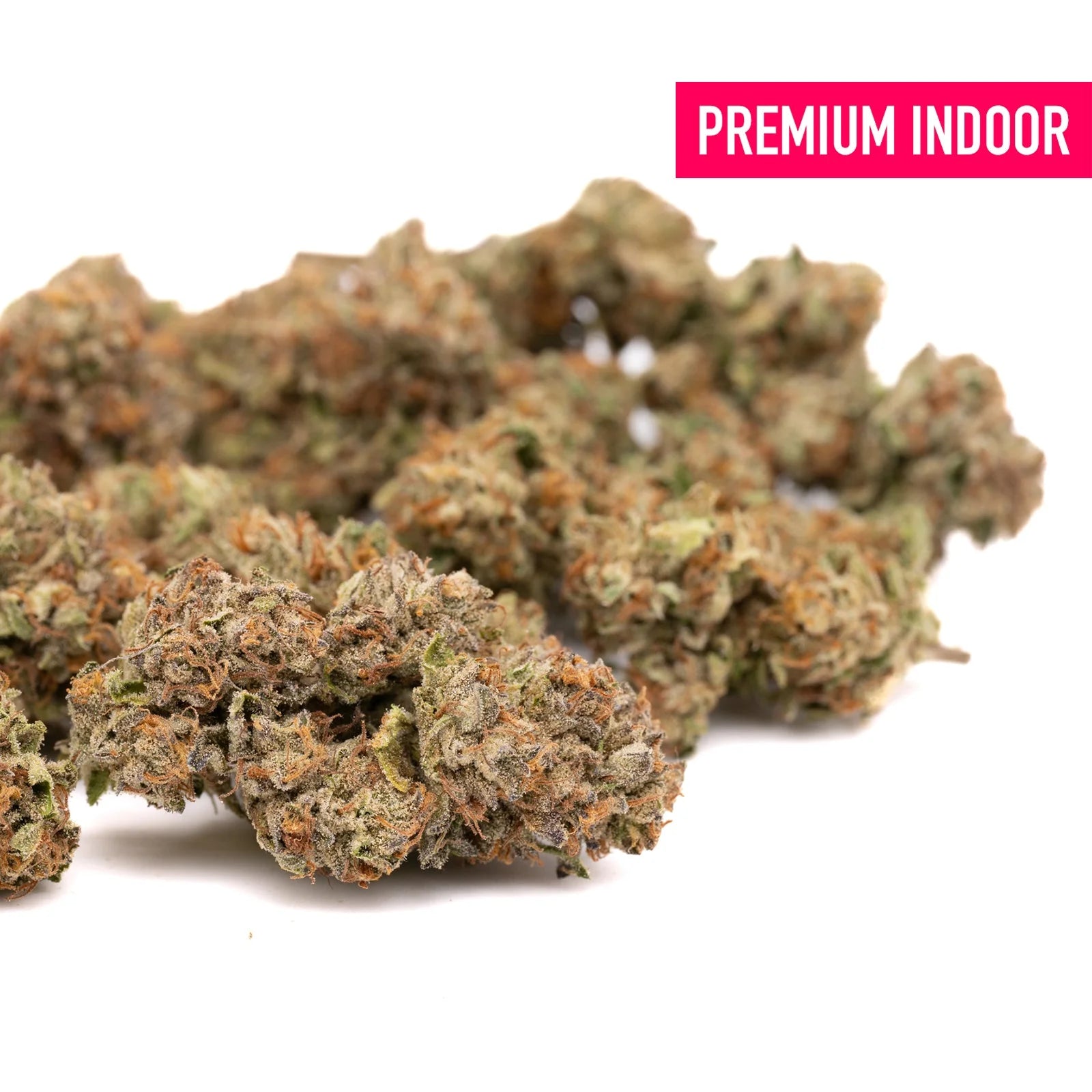 Lemon Cherry Gelato THCa Indoor Flower Wholesale - Plants