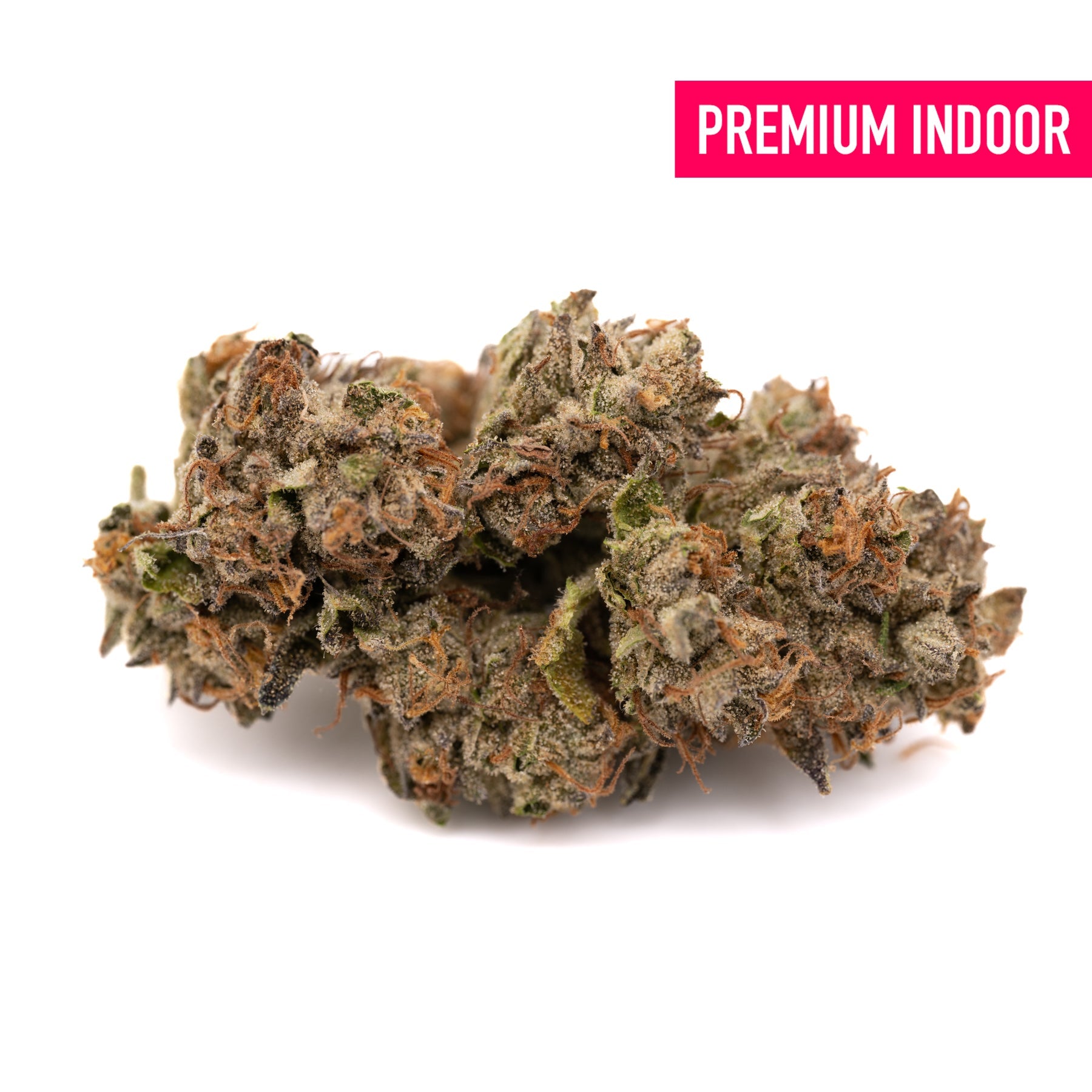 Lemon Cherry Gelato Indoor THCa Flower - Plants