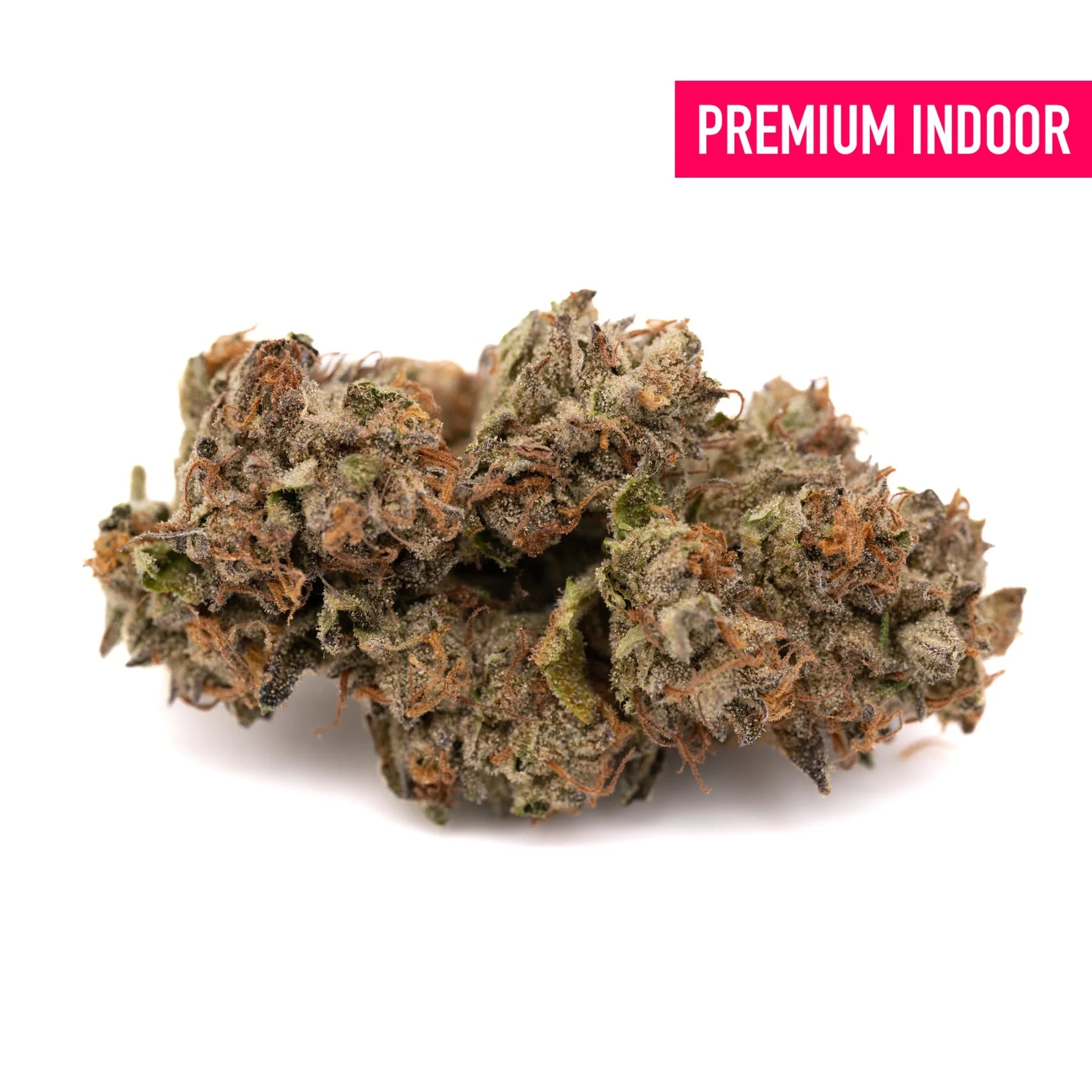 Lemon Cherry Gelato Indoor THCa Flower - Plants