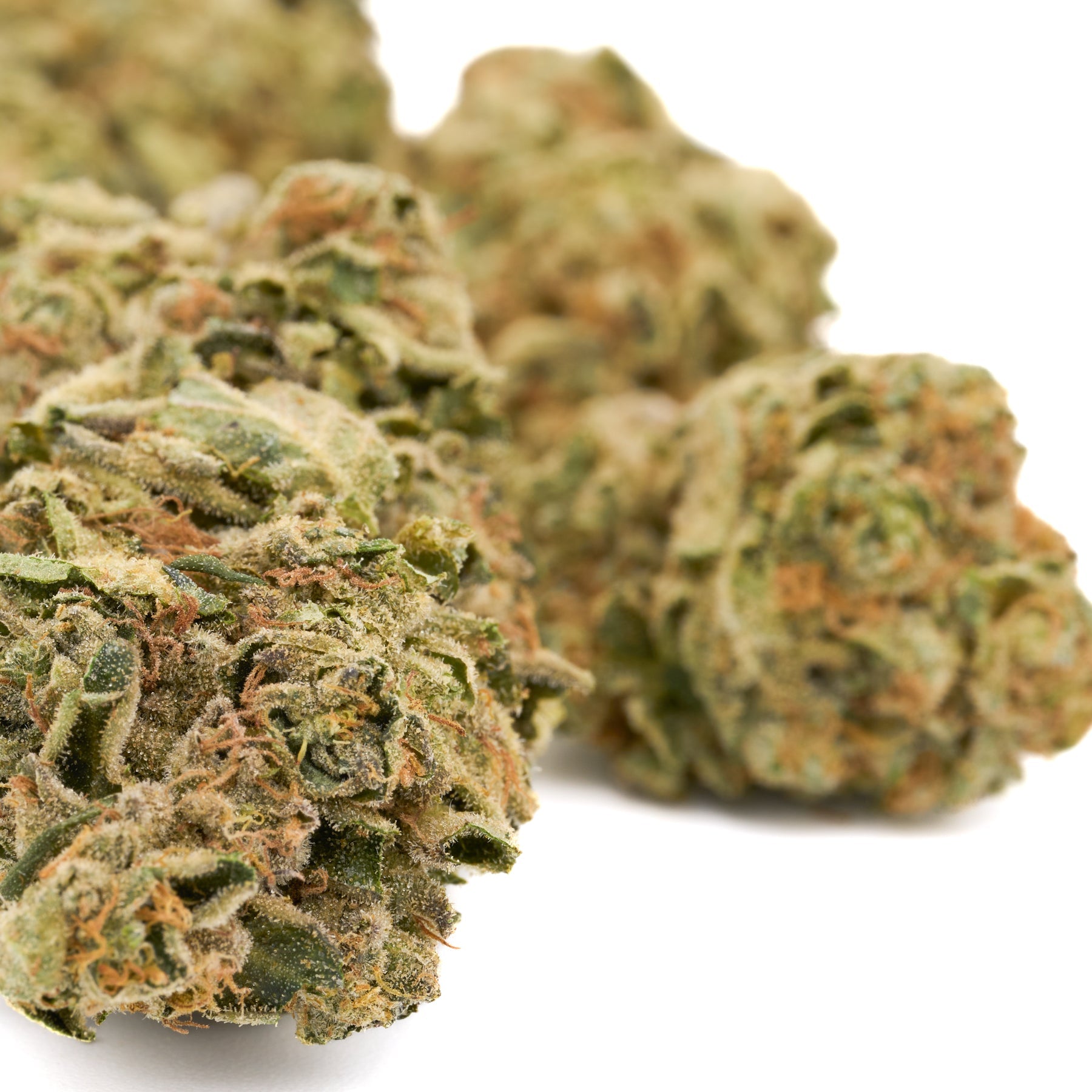 Lemon Kush THCa Hemp Flower showcasing vibrant cannabis flower buds in greenhouse setting