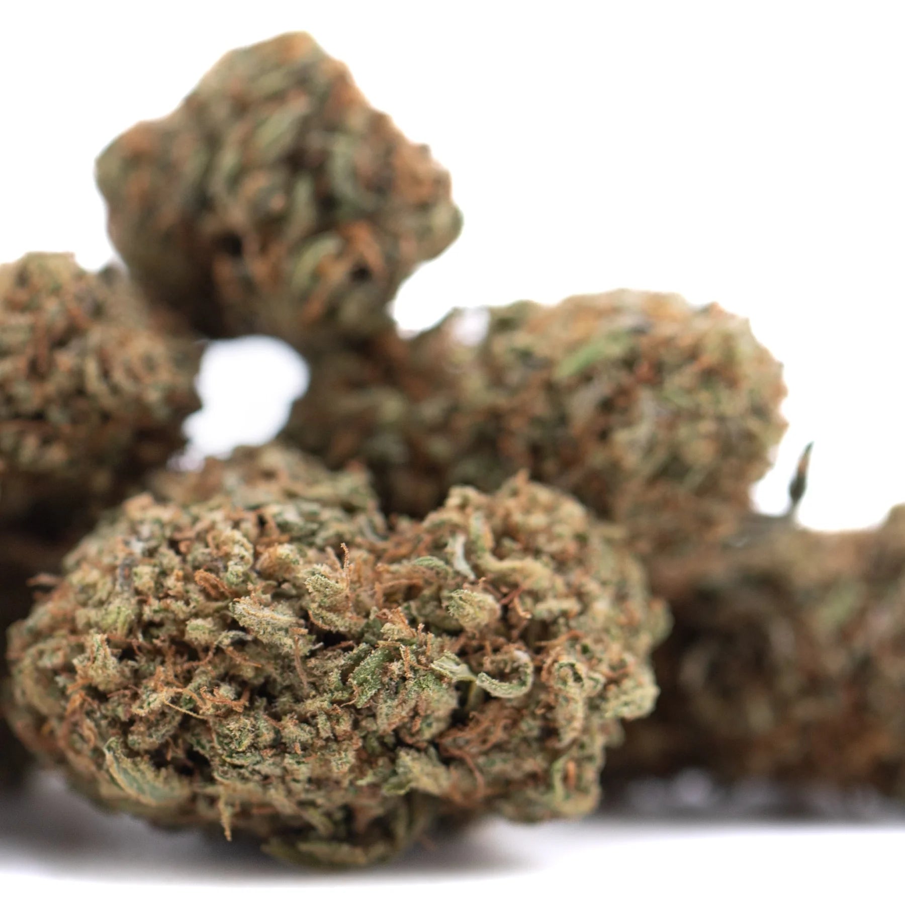 Green and brown lemon octane cbd hemp flower buds with dense textured surface similar to bubba kush strain