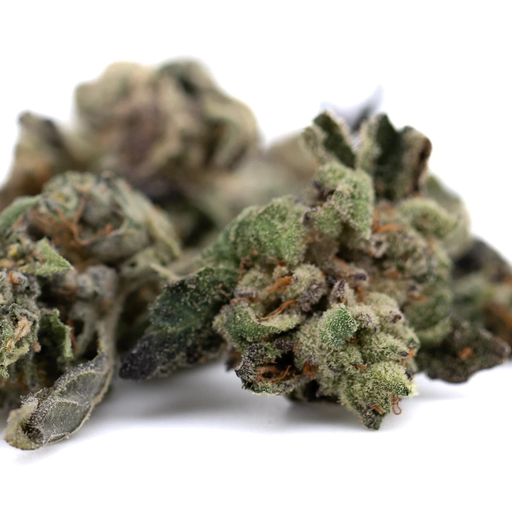 Dense green lemon octane cbd smalls flower with frosty white trichomes and purple undertones in smalls hemp flower