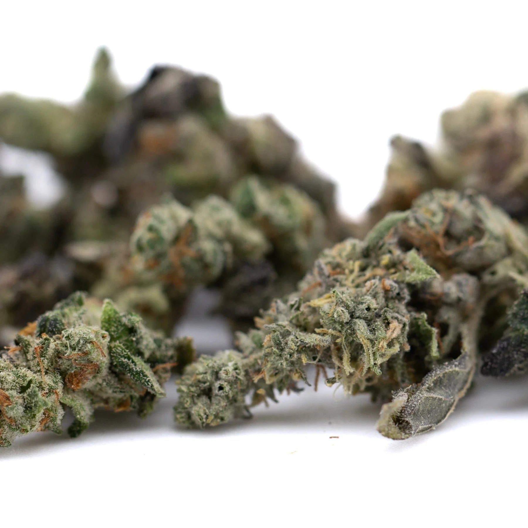 Lemon octane cbd smalls flower with green and orange-hued frosty textured smalls hemp flower buds