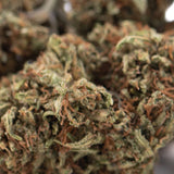 A dense lemon octane cbd hemp flower bud with green and orange hues resembling bubba kush quality