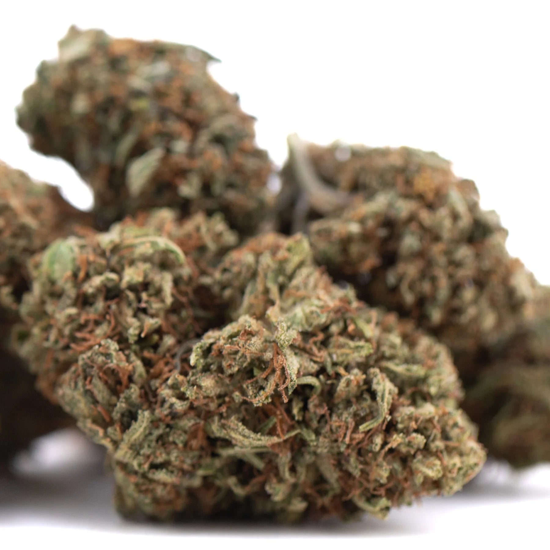 Green and orange-hued dense lemon octane cbd hemp flower buds with textured surface for bubba kush use