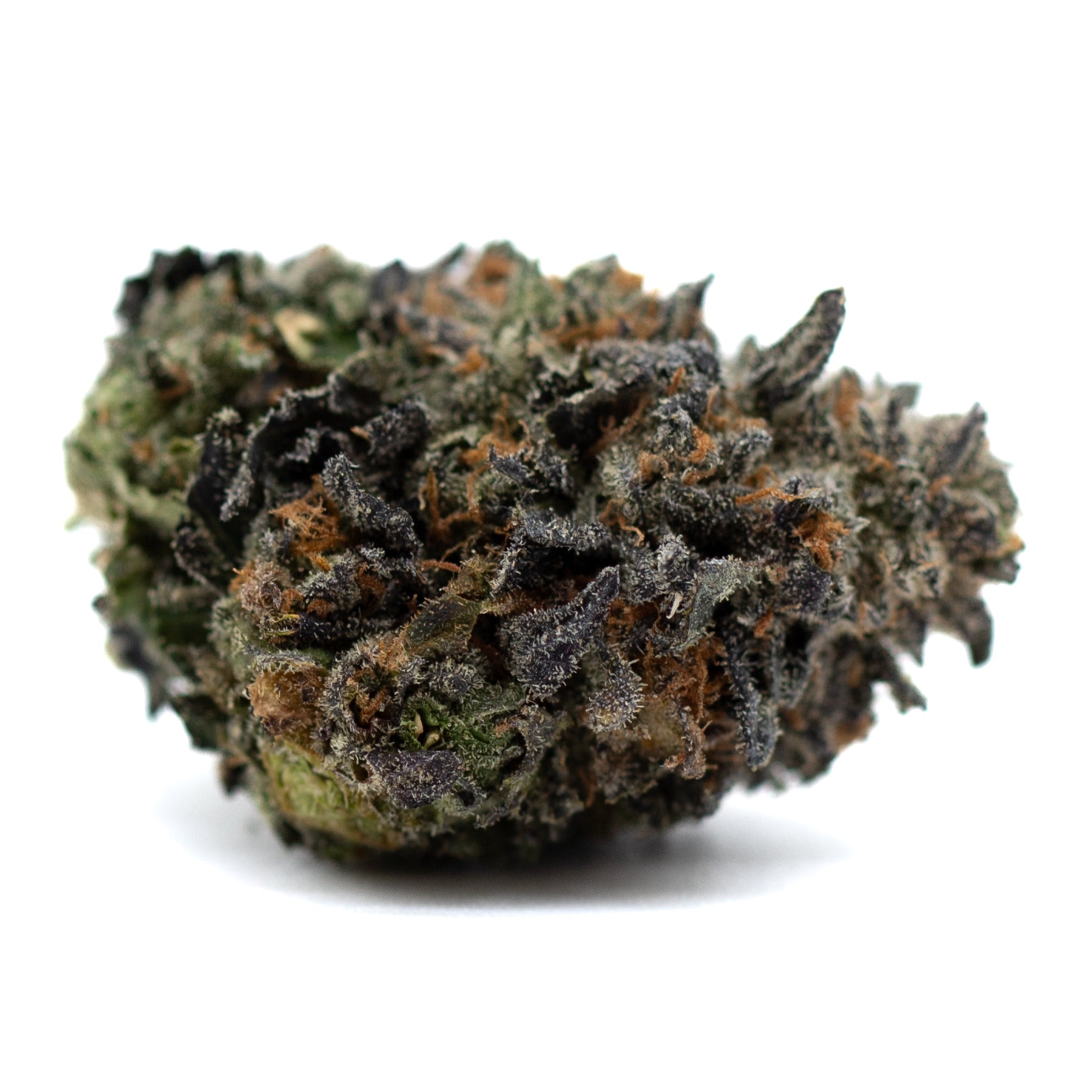 Dense dark green Lemon OG Indoor THCa Flower with orange hairs and frosty trichomes