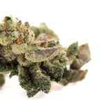 Lemon OG Indoor THCa Flower Smalls with light green leaves, orange pistils, white trichomes