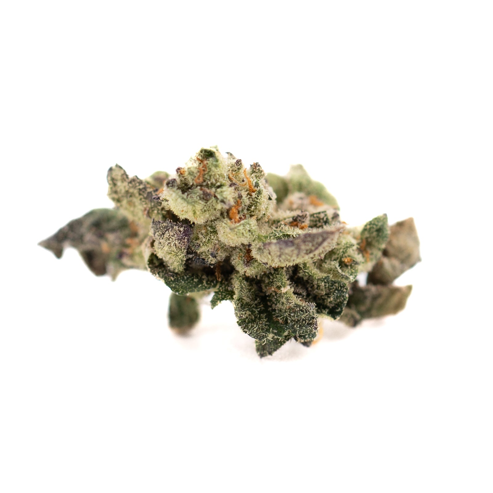 Dense Lemon OG Indoor THCa Flower Smalls with green and purple hues and trichomes