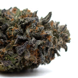 Dense dark purple and green cannabis bud with orange pistils and trichomes, Lemon OG THCa flower
