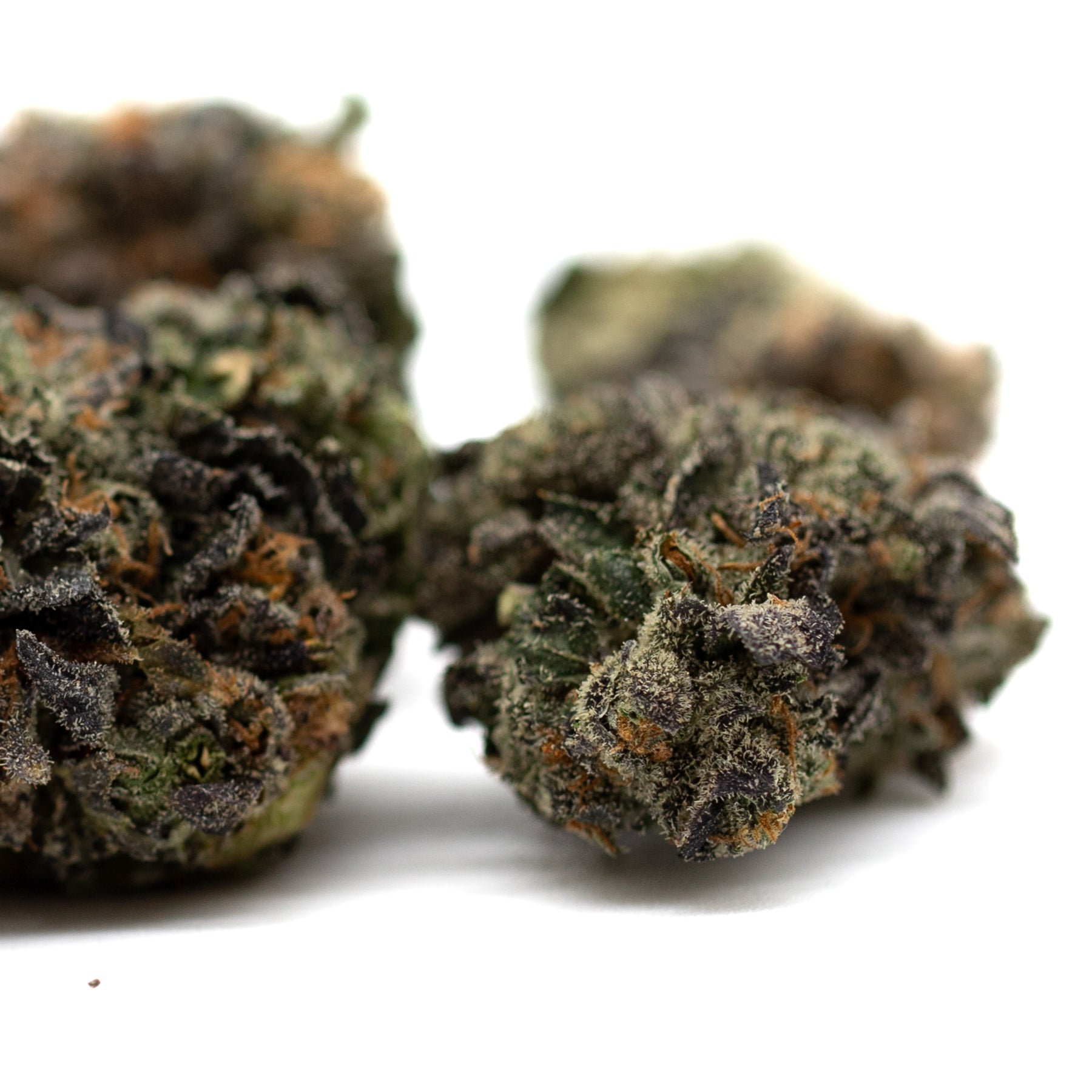 Purple cannabis buds with frosty trichomes from Lemon OG Indoor THCa Flower Wholesale