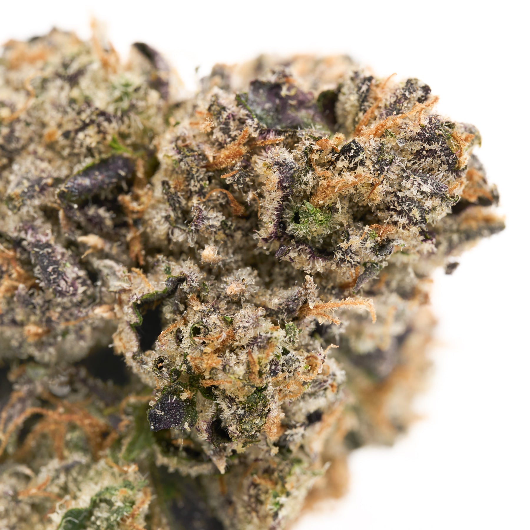 Close-up of Love Affair Indoor THCa Flower with orange hairs, purple hues, and trichomes