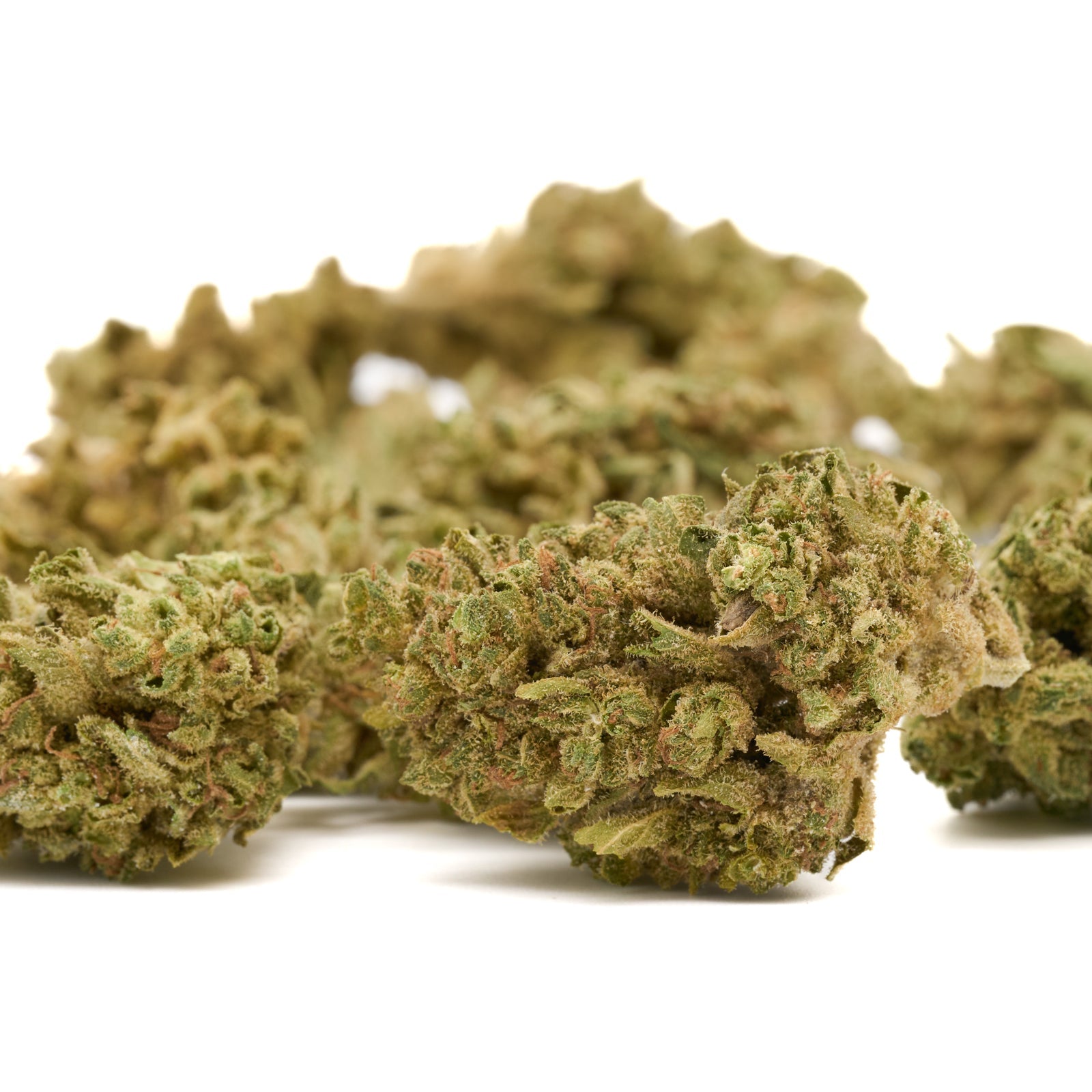 Dried cannabis buds of Granddaddy Purple THCa flower from Lucky Charms Wholesale